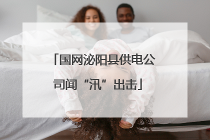 国网泌阳县供电公司闻“汛”出击