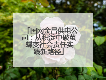 国网金昌供电公司：从积淀中破茧 蝶变社会责任实践新路径