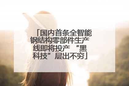 国内首条全智能钢结构零部件生产线即将投产 “黑科技”层出不穷