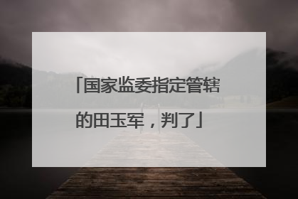 国家监委指定管辖的田玉军，判了