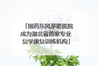 国药东风茅箭医院成为湖北省首家专业复学康复训练机构