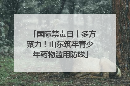 国际禁毒日丨多方聚力！山东筑牢青少年药物滥用防线