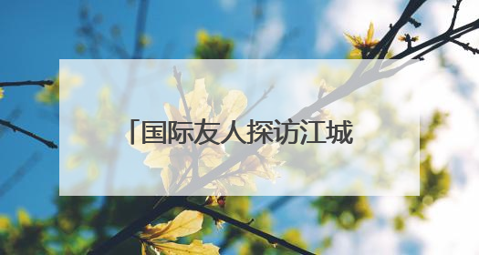 国际友人探访江城地标 沉浸式体验武汉古今交融之美