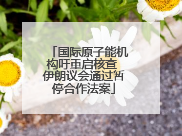 国际原子能机构吁重启核查 伊朗议会通过暂停合作法案