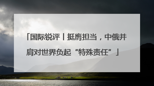 国际锐评丨挺膺担当，中俄并肩对世界负起“特殊责任”