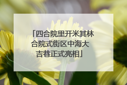 四合院里开米其林 合院式街区中海大吉巷正式亮相