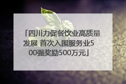 四川力促餐饮业高质量发展 首次入围服务业500强奖励500万元
