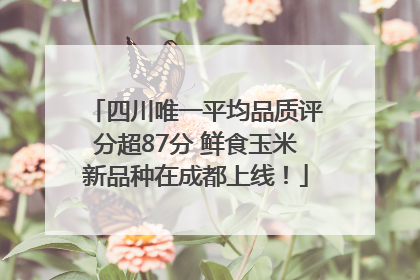 四川唯一平均品质评分超87分 鲜食玉米新品种在成都上线！