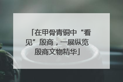 在甲骨青铜中“看见”殷商，一展纵览殷商文物精华