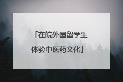 在皖外国留学生体验中医药文化