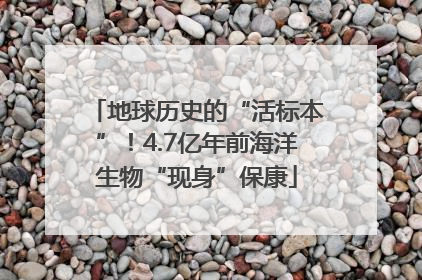 地球历史的“活标本”！4.7亿年前海洋生物“现身”保康