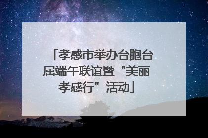 孝感市举办台胞台属端午联谊暨“美丽孝感行”活动