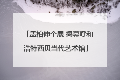 孟柏伸个展 揭幕呼和浩特西贝当代艺术馆