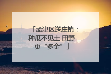 孟津区送庄镇：种瓜不见土 田野更“多金”