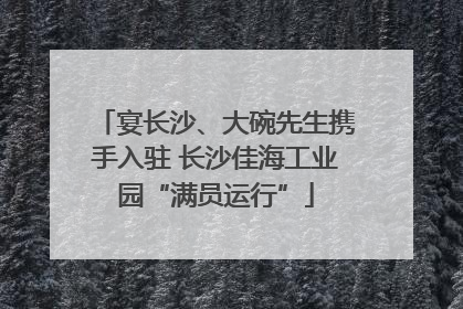 宴长沙、大碗先生携手入驻 长沙佳海工业园“满员运行”