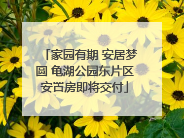 家园有期 安居梦圆 龟湖公园东片区安置房即将交付