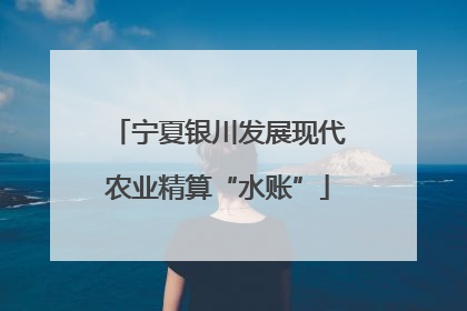 宁夏银川发展现代农业精算“水账”