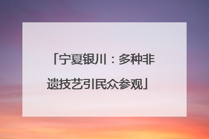 宁夏银川：多种非遗技艺引民众参观