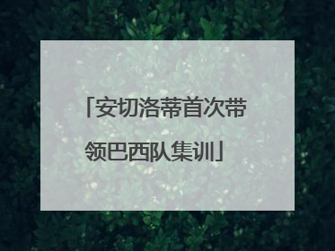 安切洛蒂首次带领巴西队集训