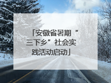 安徽省暑期“三下乡”社会实践活动启动
