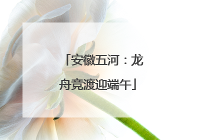 安徽五河：龙舟竞渡迎端午