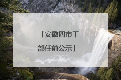 安徽四市干部任前公示