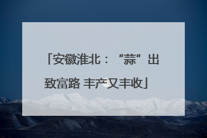 安徽淮北：“蒜”出致富路 丰产又丰收