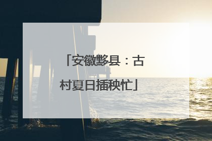 安徽黟县：古村夏日插秧忙