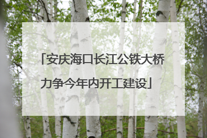 安庆海口长江公铁大桥力争今年内开工建设