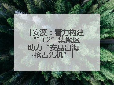 安溪：着力构建“1+2”集聚区 助力“安品出海·抢占先机”