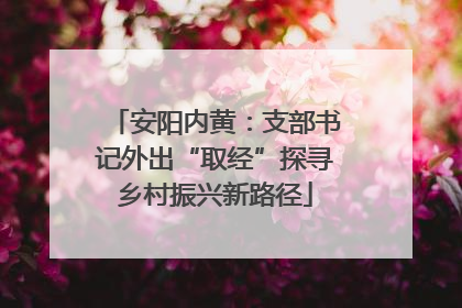 安阳内黄：支部书记外出“取经”探寻乡村振兴新路径