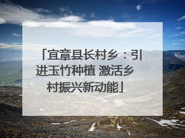 宜章县长村乡：引进玉竹种植 激活乡村振兴新动能