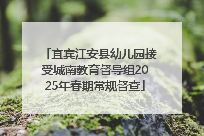 宜宾江安县幼儿园接受城南教育督导组2025年春期常规督查