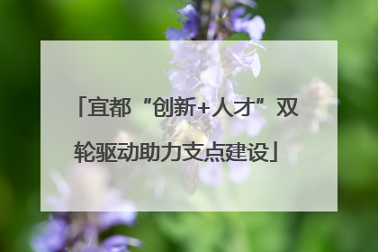 宜都“创新+人才”双轮驱动助力支点建设