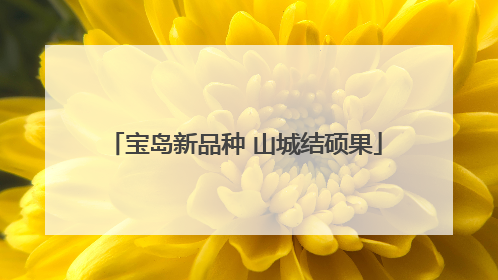 宝岛新品种 山城结硕果