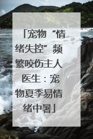 宠物“情绪失控”频繁咬伤主人 医生：宠物夏季易情绪中暑
