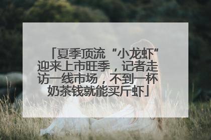 夏季顶流“小龙虾”迎来上市旺季，记者走访一线市场，不到一杯奶茶钱就能买斤虾