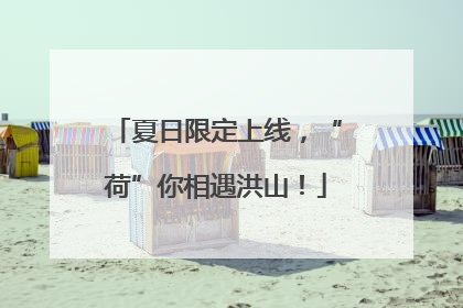 夏日限定上线，“荷”你相遇洪山！