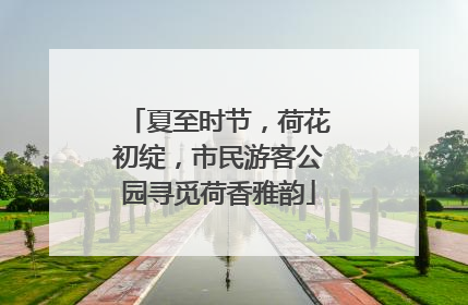 夏至时节，荷花初绽，市民游客公园寻觅荷香雅韵
