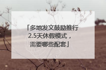 多地发文鼓励推行2.5天休假模式，需要哪些配套