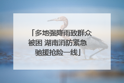 多地强降雨致群众被困 湖南消防紧急驰援抢险一线
