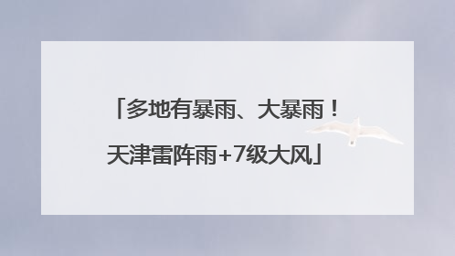多地有暴雨、大暴雨！天津雷阵雨+7级大风