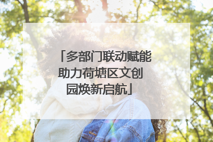 多部门联动赋能 助力荷塘区文创园焕新启航