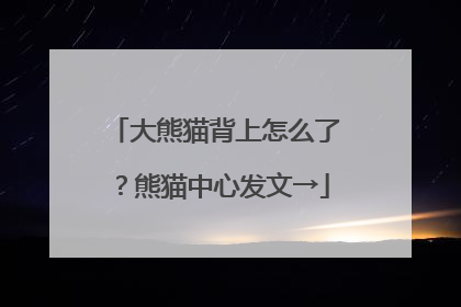 大熊猫背上怎么了？熊猫中心发文→