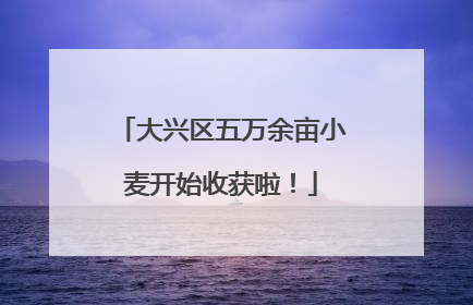 大兴区五万余亩小麦开始收获啦！