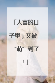 大喜的日子里，又被“萌”到了！