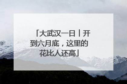 大武汉一日︱开到六月底，这里的花比人还高