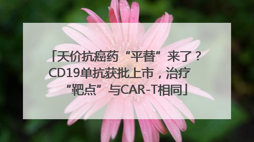 天价抗癌药“平替”来了？CD19单抗获批上市，治疗“靶点”与CAR-T相同