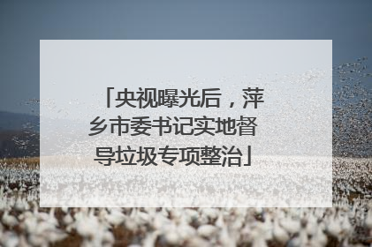 央视曝光后，萍乡市委书记实地督导垃圾专项整治