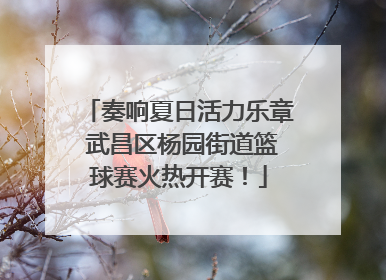奏响夏日活力乐章 武昌区杨园街道篮球赛火热开赛！